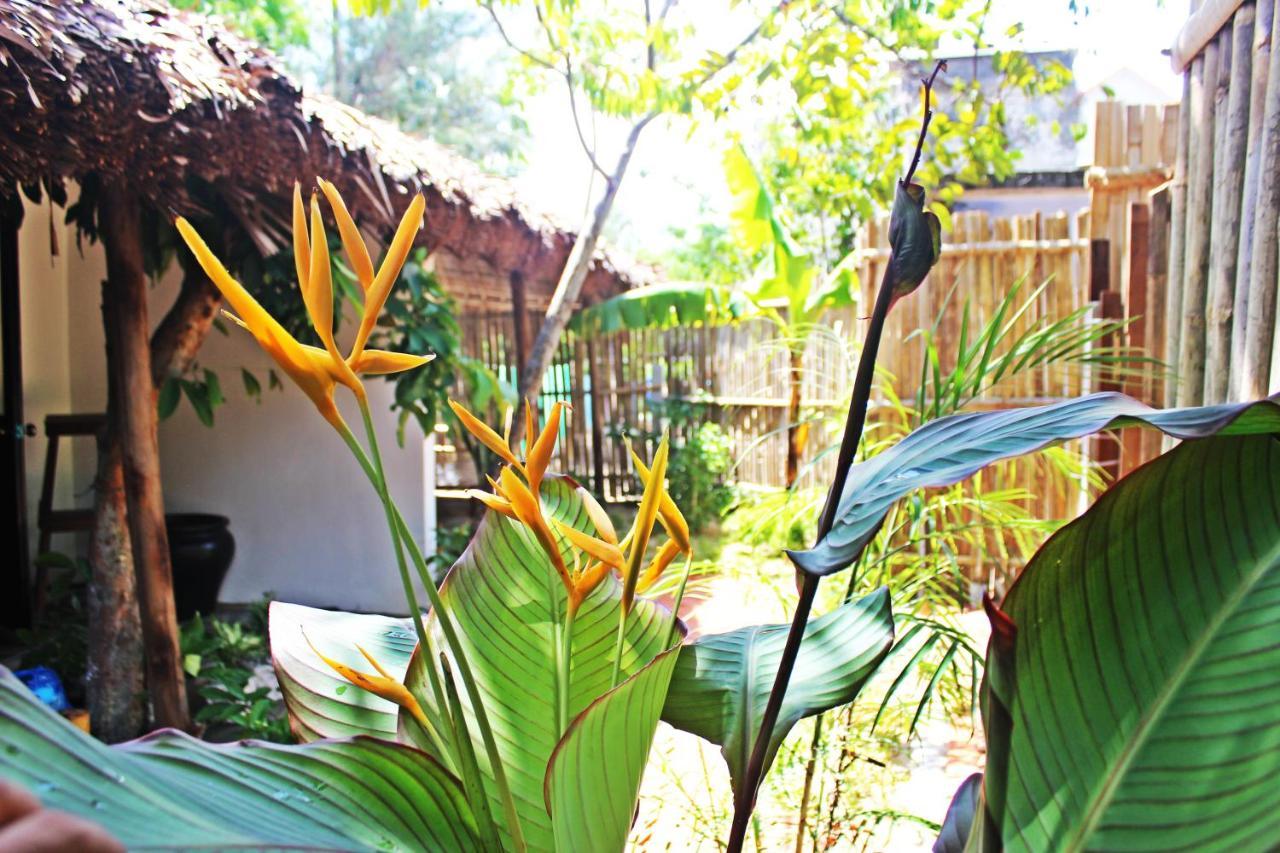 An Bang Purple Homestay Hoi An Luaran gambar