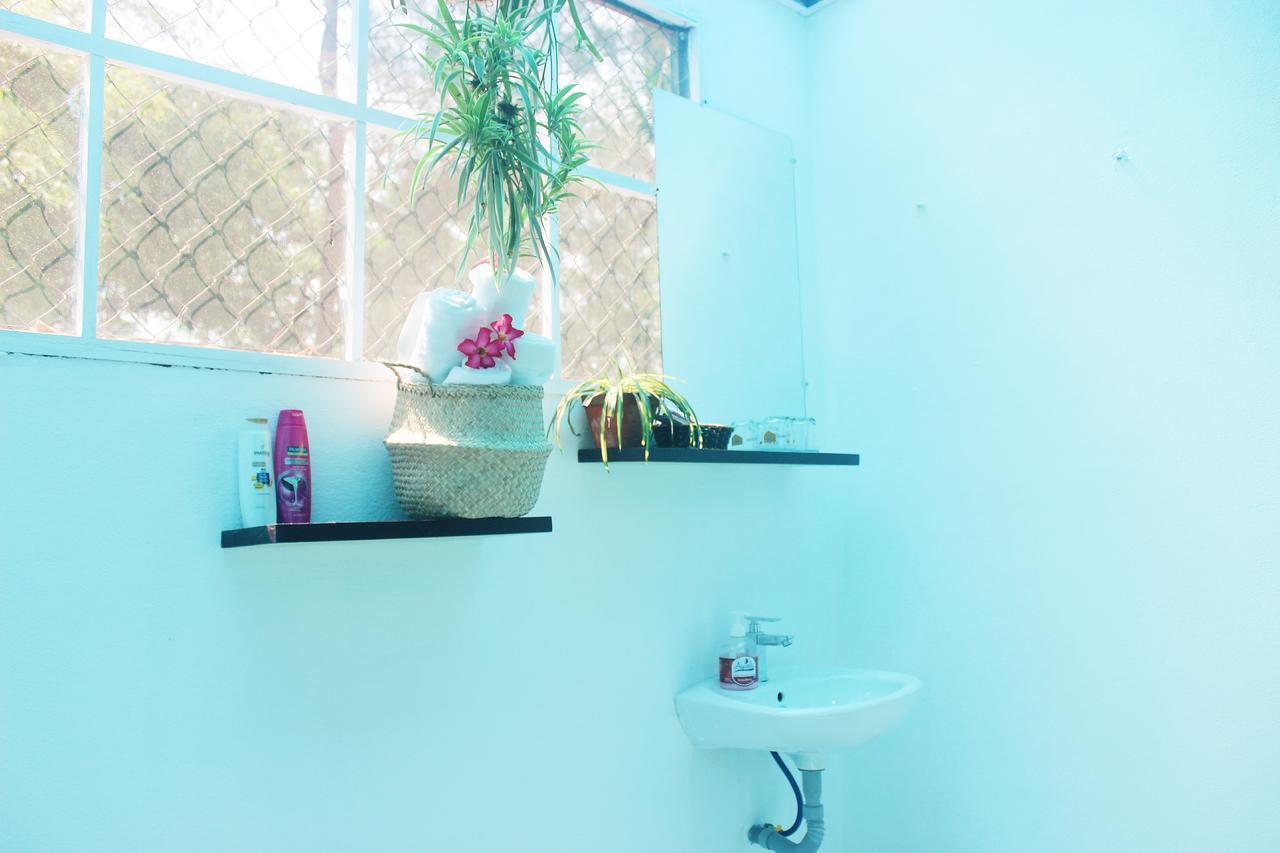An Bang Purple Homestay Hoi An Luaran gambar